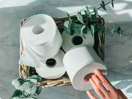 5 Reasons Why Bidets are Superior to Toilet Paper