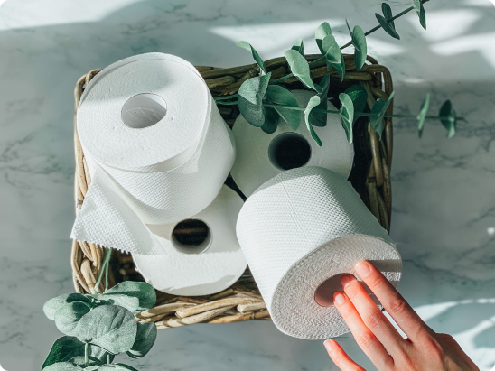 Bidet vs Toilet Paper: Which Is Better for Hygiene, Cost and the Environment?