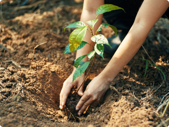 The Impact of Bidets on the Environment: Facts and Figures